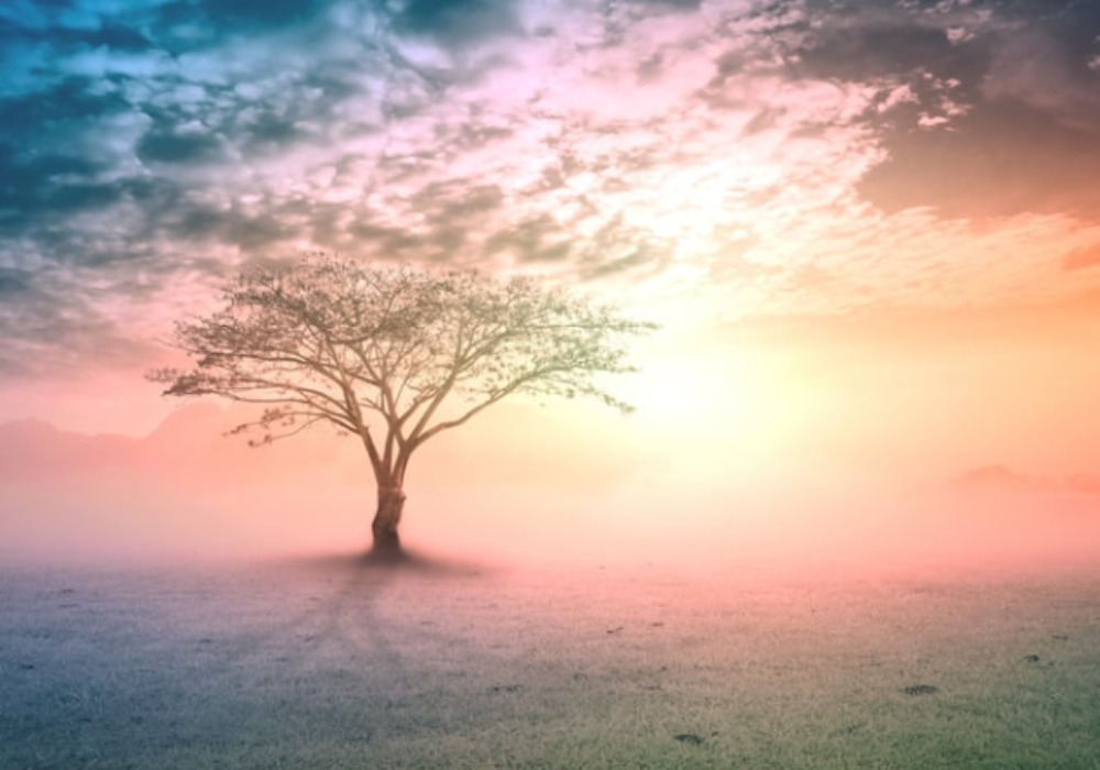 Design sem nome (78)